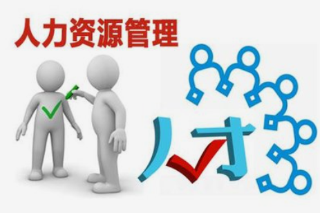 人力資源服務機構提供這些服務